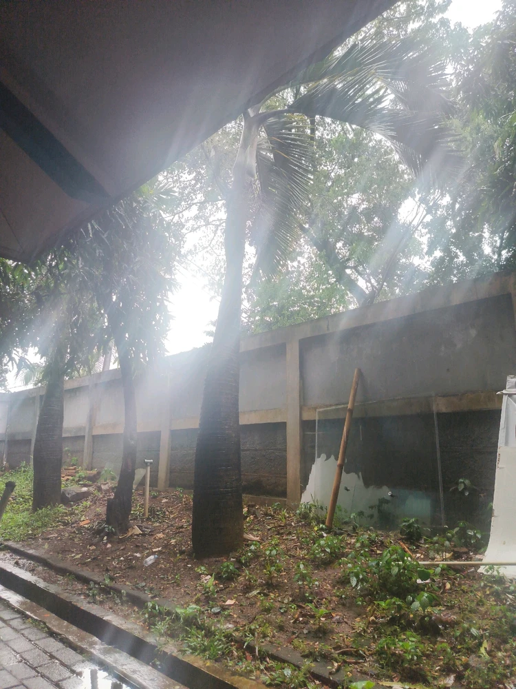 GIF diunggah oleh Olee