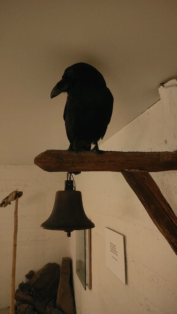 Image uploaded by Soulful