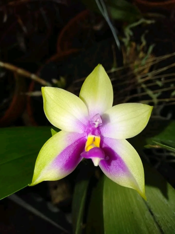 GIF uploaded by Tyra