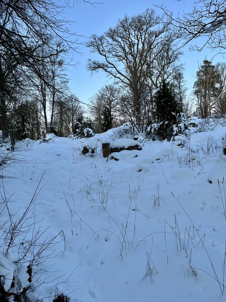 Image uploaded by Fredric