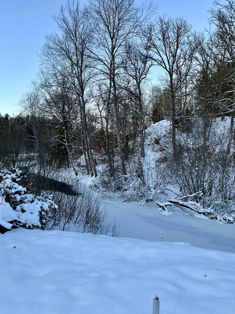 Image uploaded by Fredric