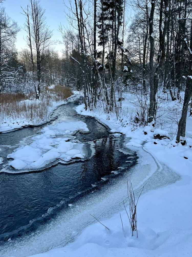 Image uploaded by Fredric