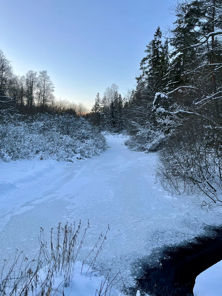 Image uploaded by Fredric