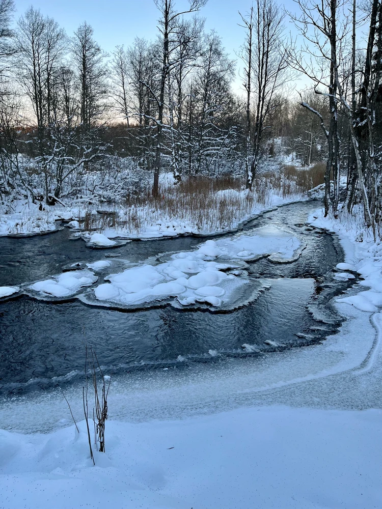 Image uploaded by Fredric