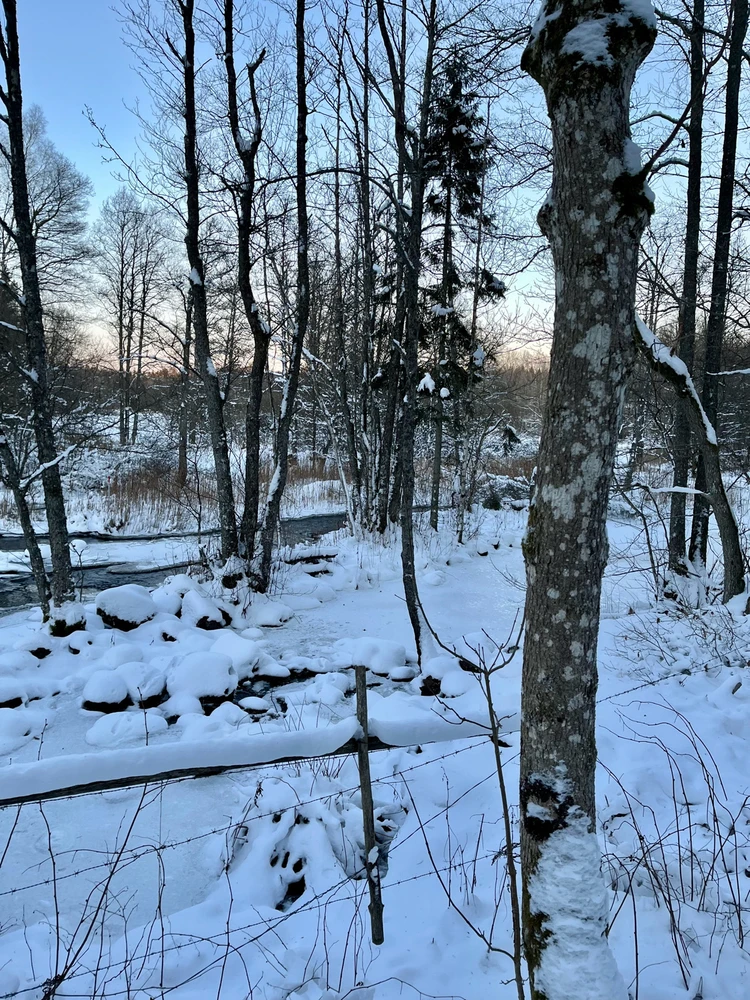 Image uploaded by Fredric