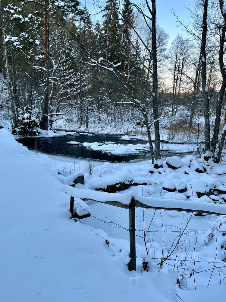 Image uploaded by Fredric