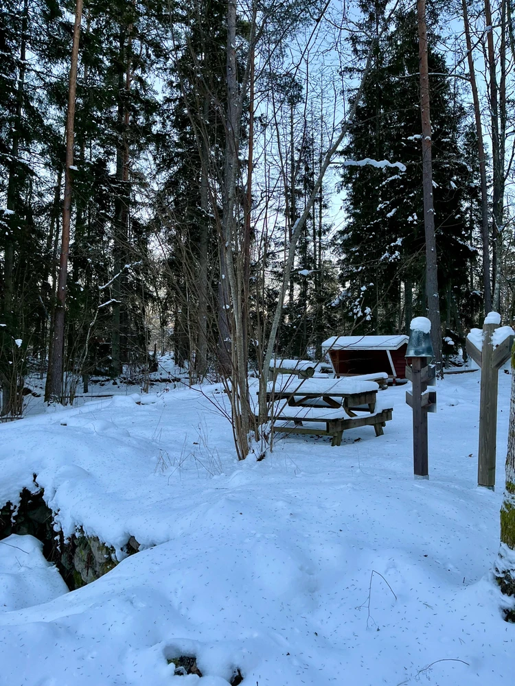 Image uploaded by Fredric