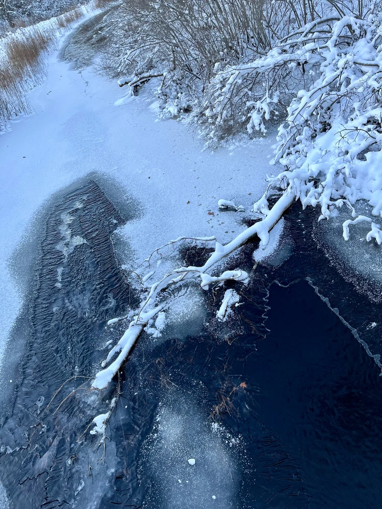 Image uploaded by Fredric