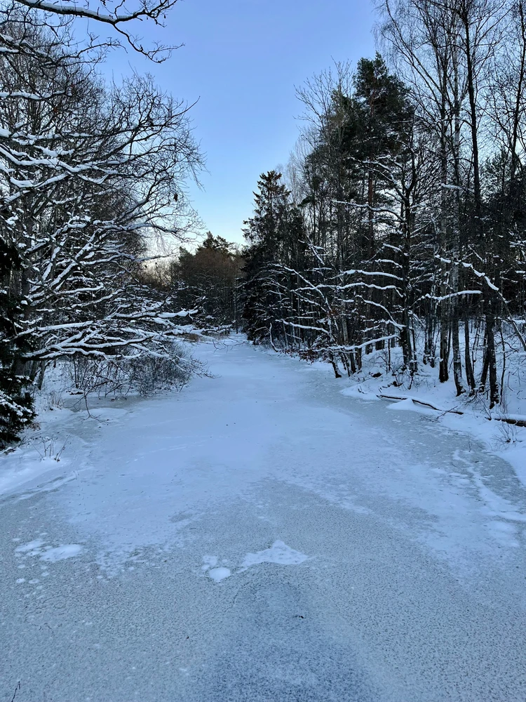 Image uploaded by Fredric