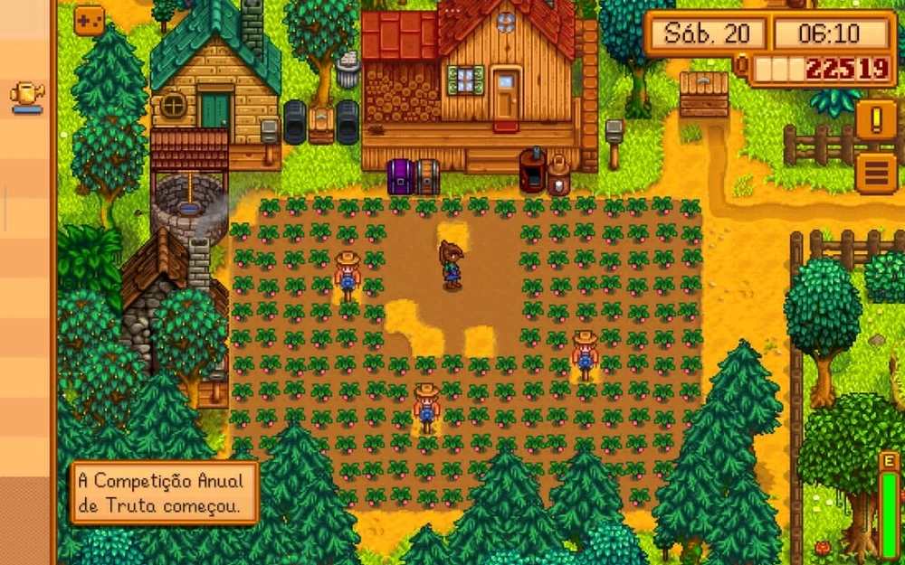 Plantação de melão que vai render um dinheiro absurdo 