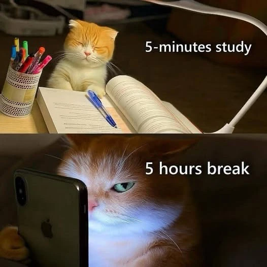 GIF uploaded by Donran