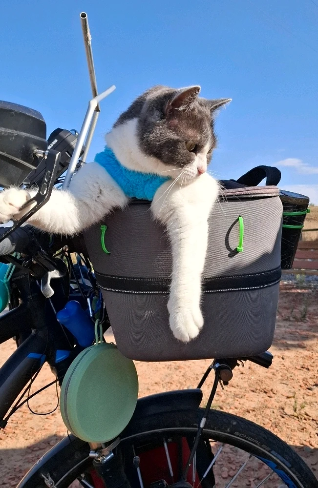 Gyula által feltöltött kép