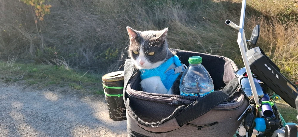 Gyula által feltöltött kép