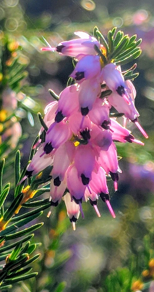 GIF uploaded by Chris