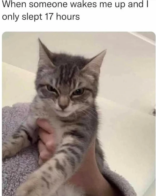 GIF uploaded by 《🌹.::Lenöré::.🌹》