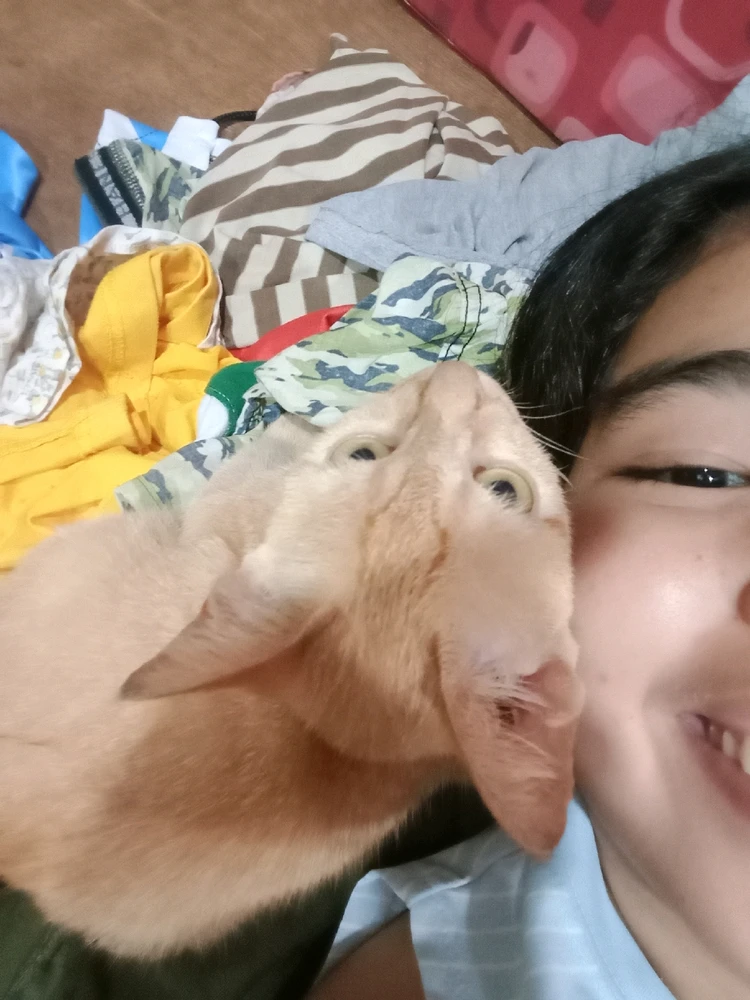 Image uploaded by Collaine