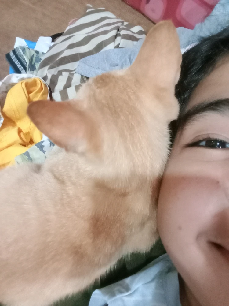 Image uploaded by Collaine