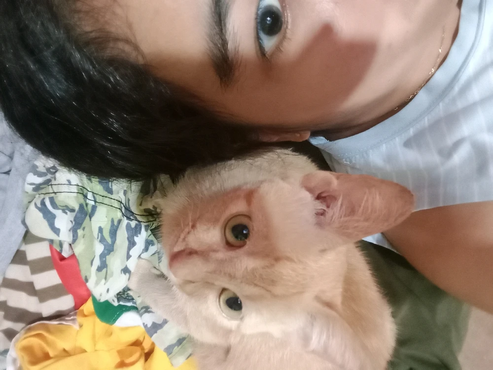 Image uploaded by Collaine