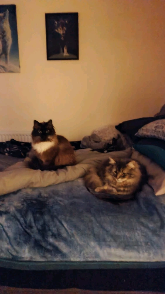 Image uploaded by Andy