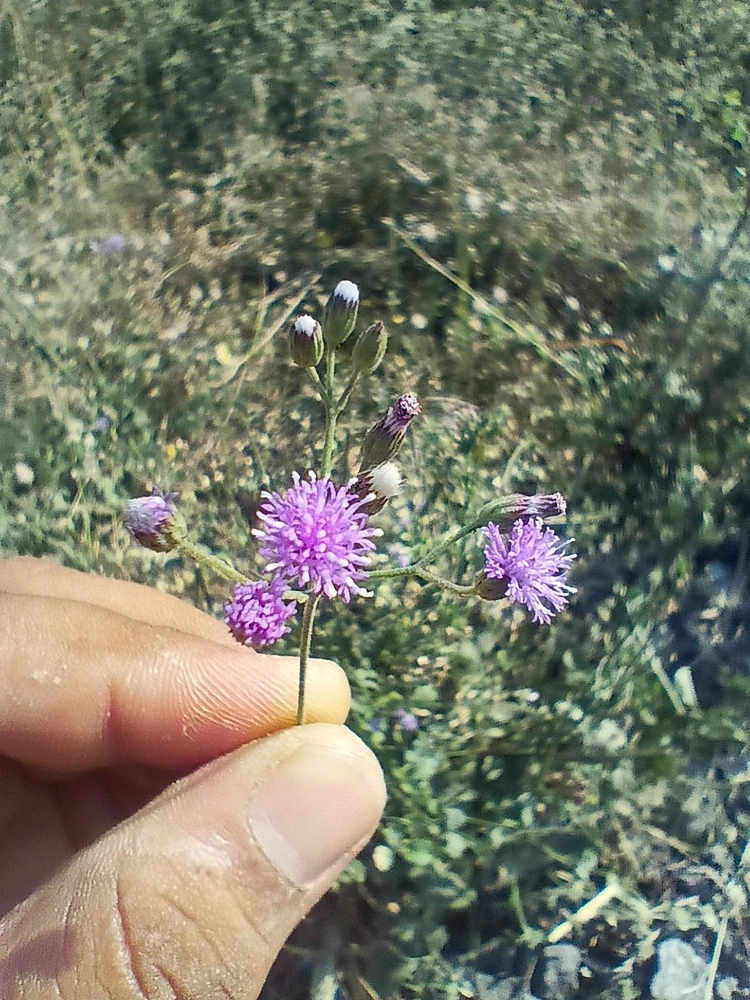 GIF uploaded by Raj Yadav