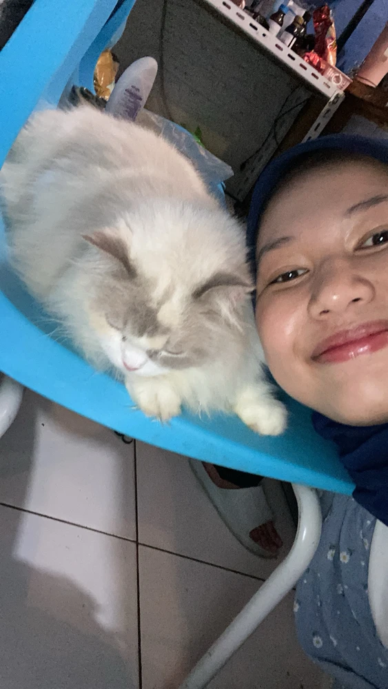 Image uploaded by Lavanya Anasera