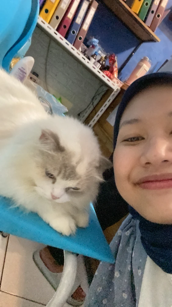 Image uploaded by Lavanya Anasera