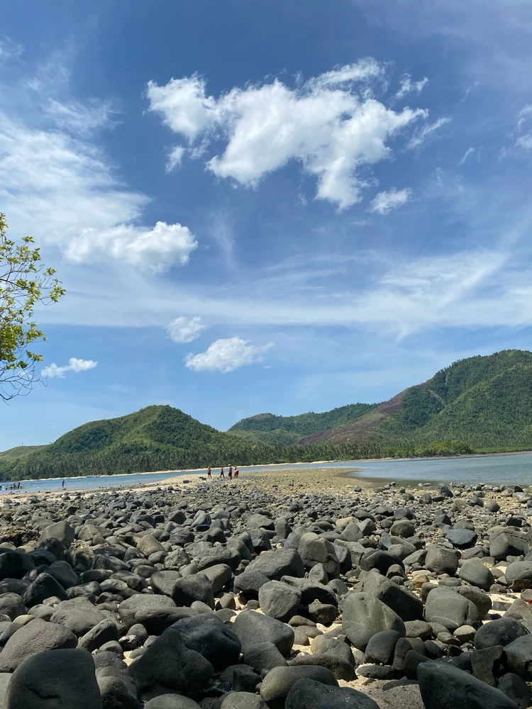 Image uploaded by Jazmin