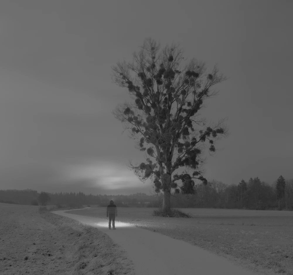 Bild hochgeladen von Jonas