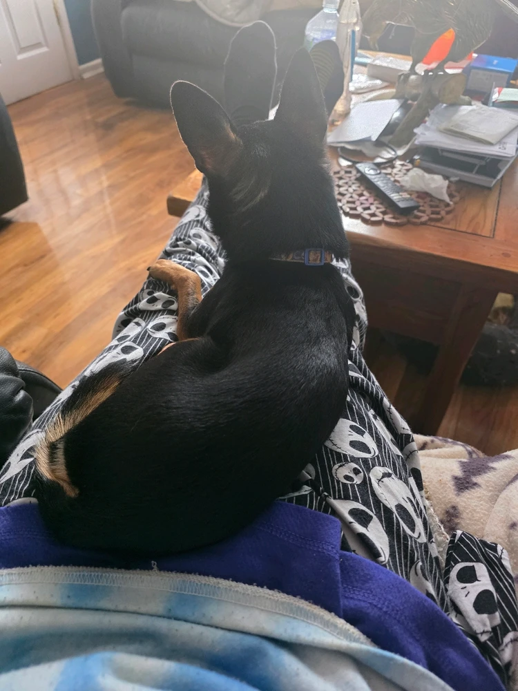 GIF uploaded by DezzieDee