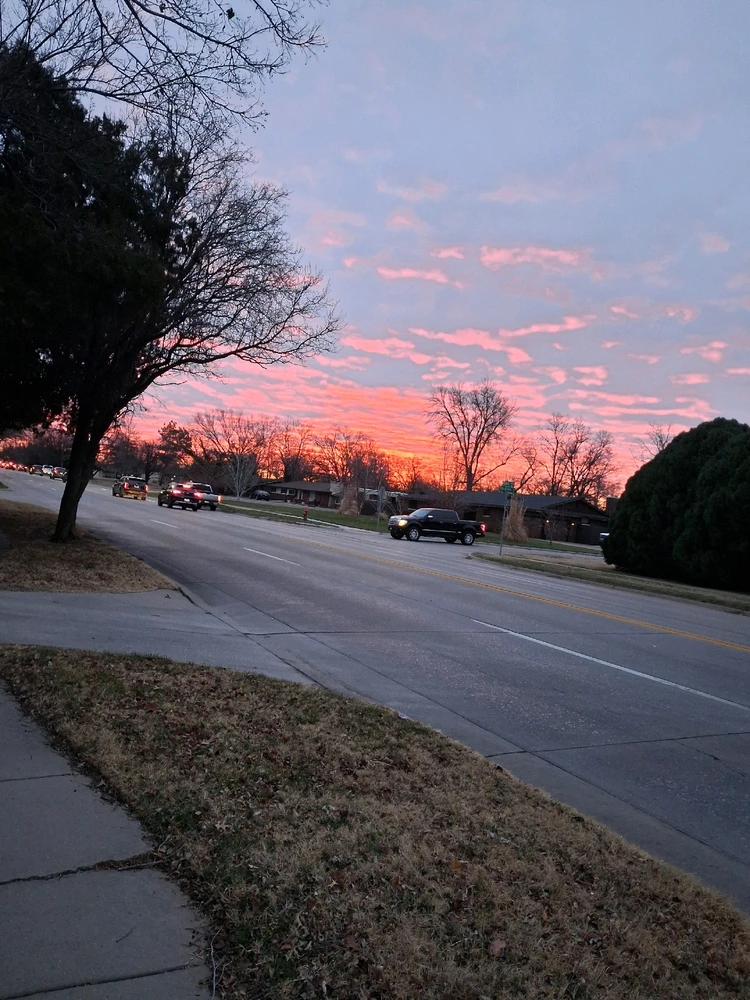 Image uploaded by Nicholas