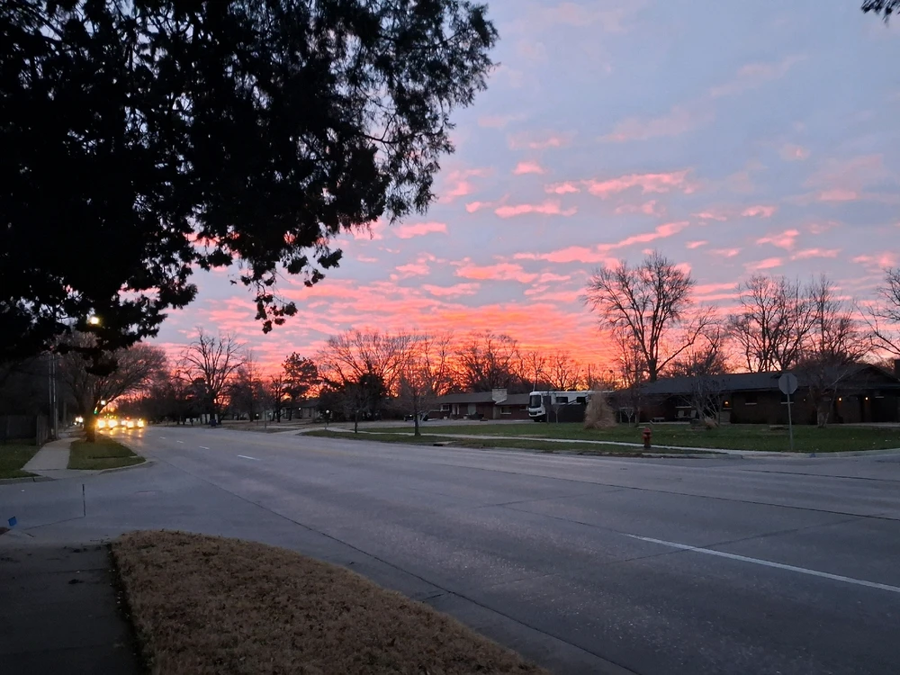 Image uploaded by Nicholas