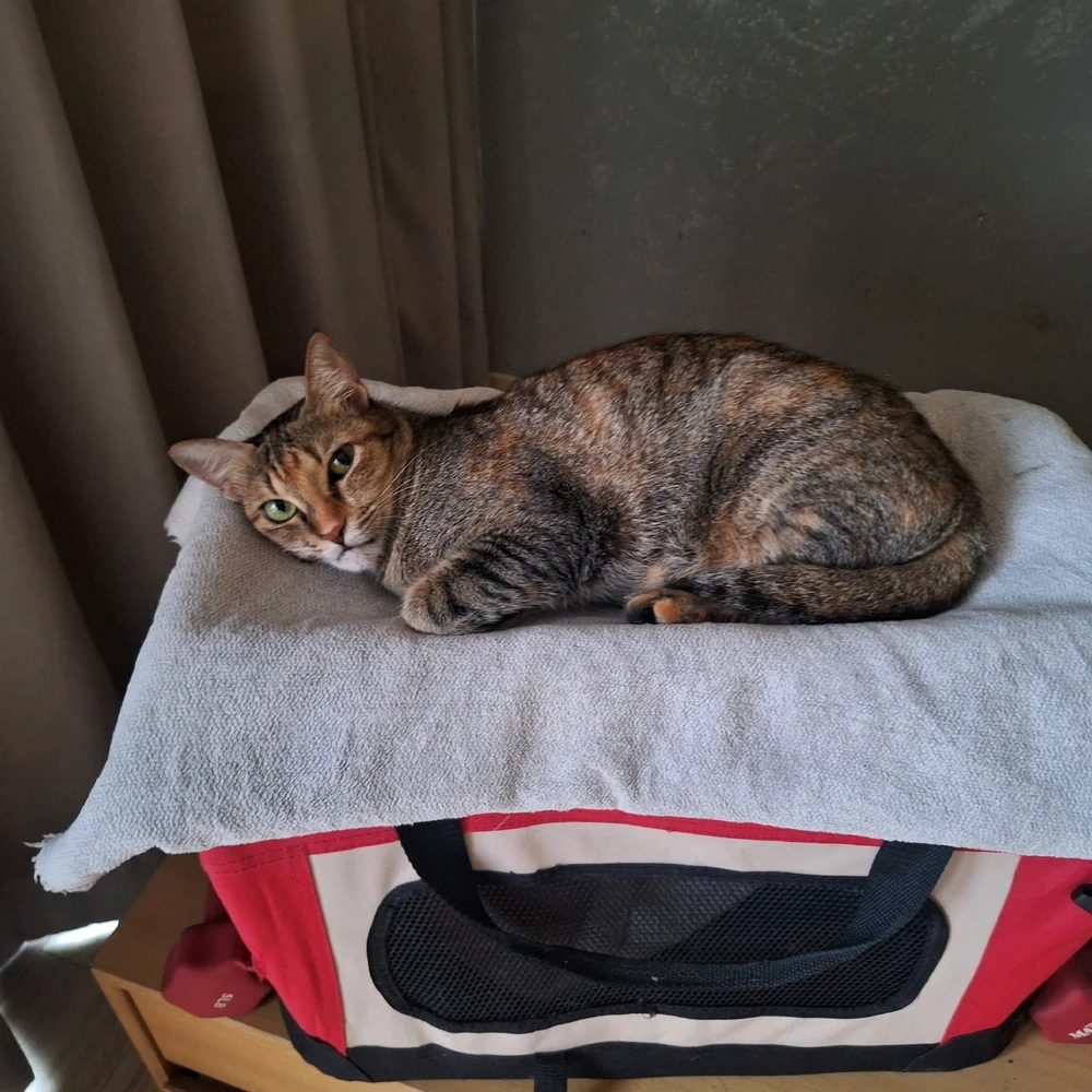 GIF uploaded by Soulsistah