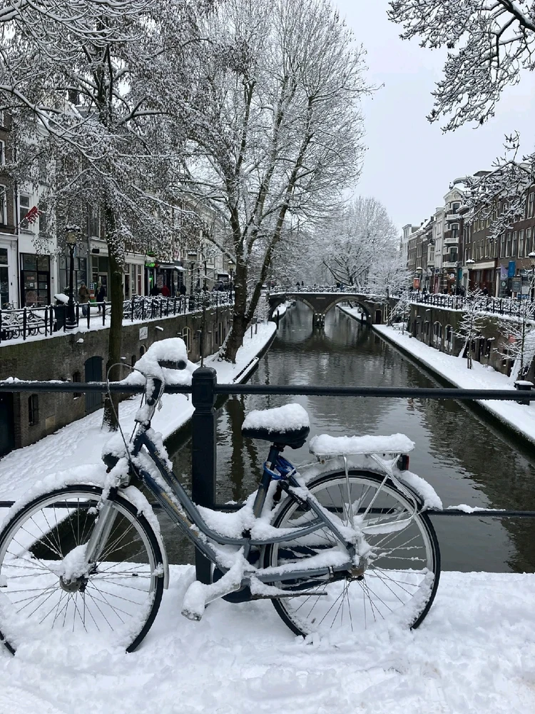 GIF uploaded by Chris