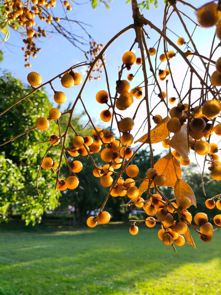 GIF uploaded by Juan Daniel