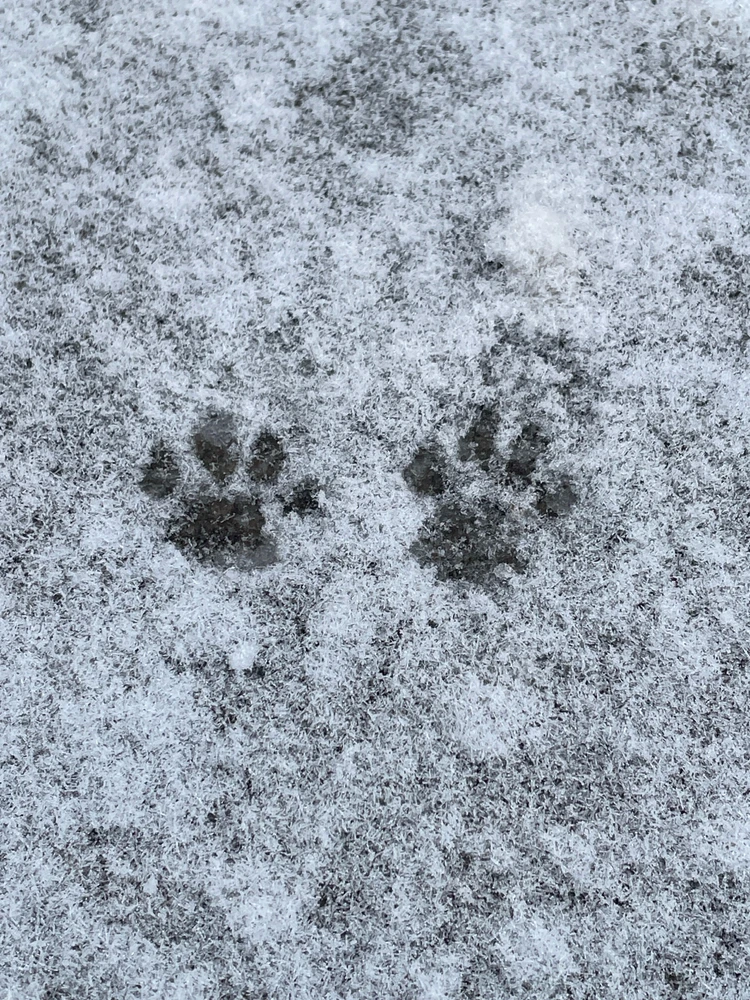 GIF dodany przez Kamil