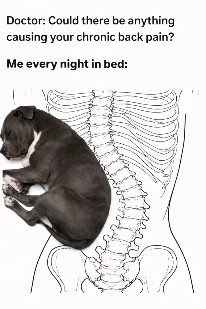 GIF uploaded by Hanah