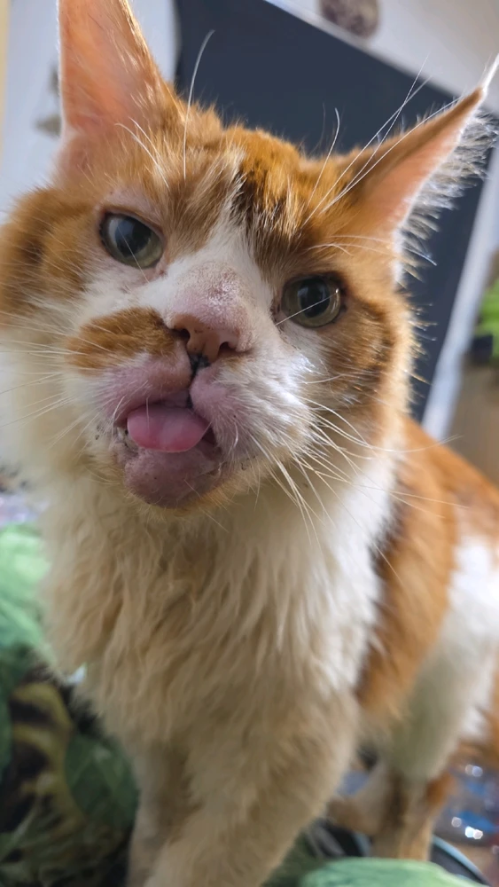 GIF dodany przez Umberto