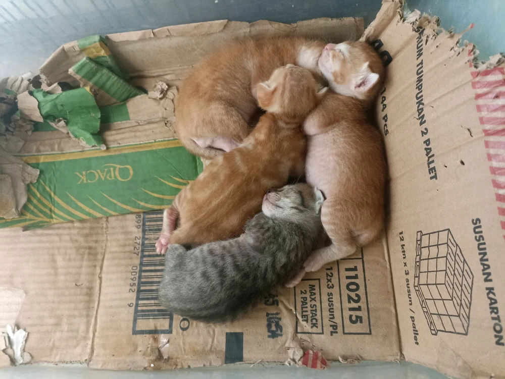 GIF uploaded by Daryy