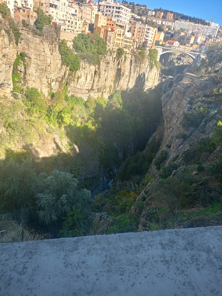 GIF uploaded by Ahmed amine