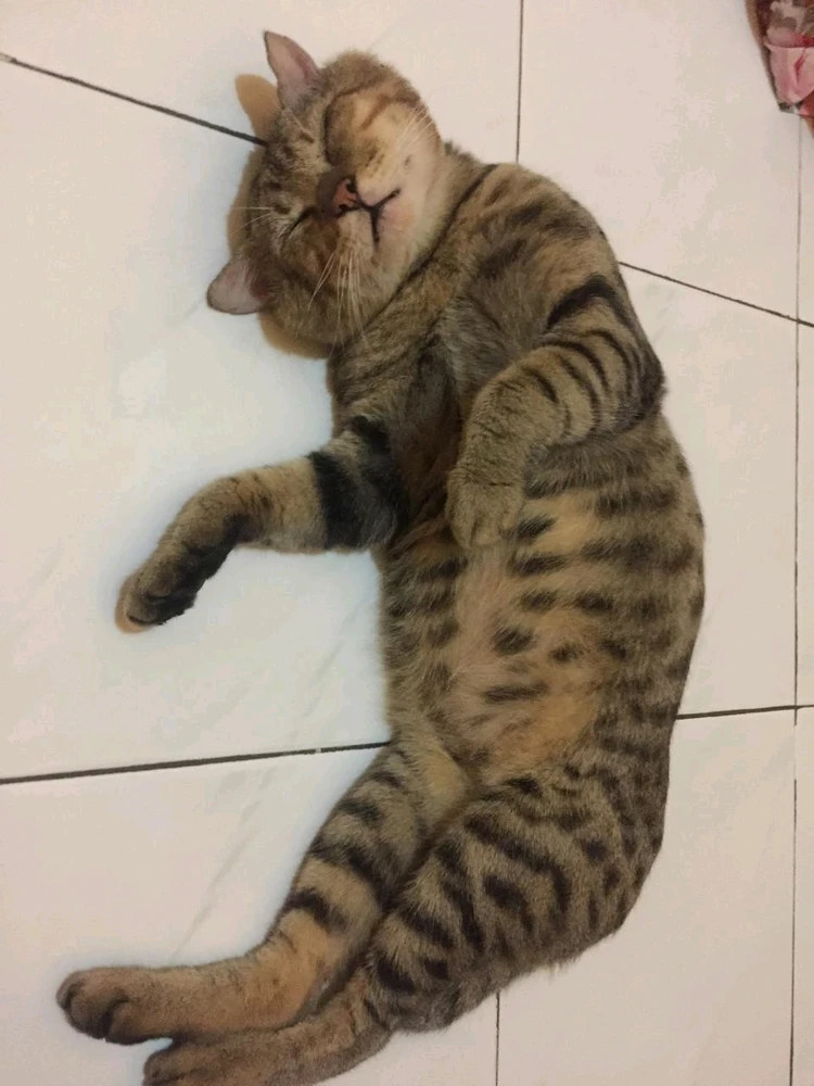 GIF uploaded by Ninda