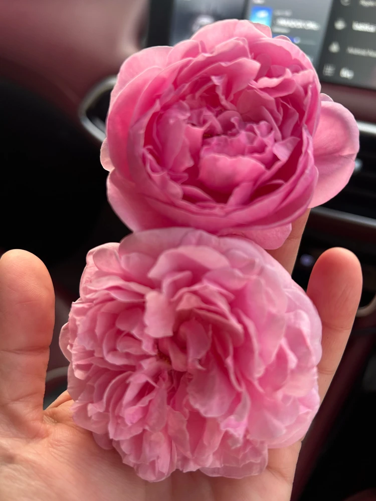 GIF uploaded by Kukkik19