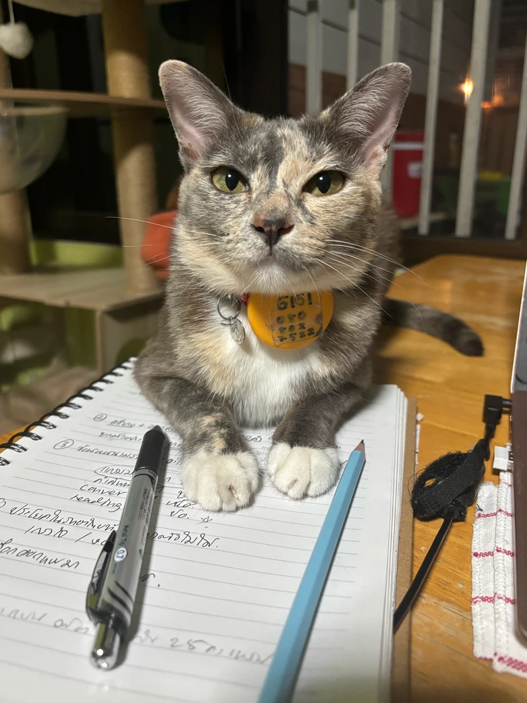 GIF uploaded by Pat♡