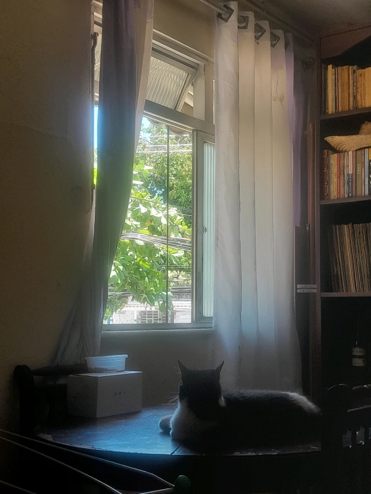 GIF enviado por Leonardo