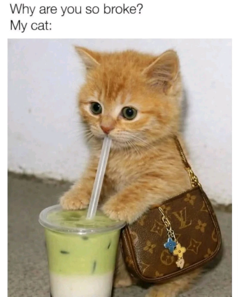 GIF uploaded by Waynez