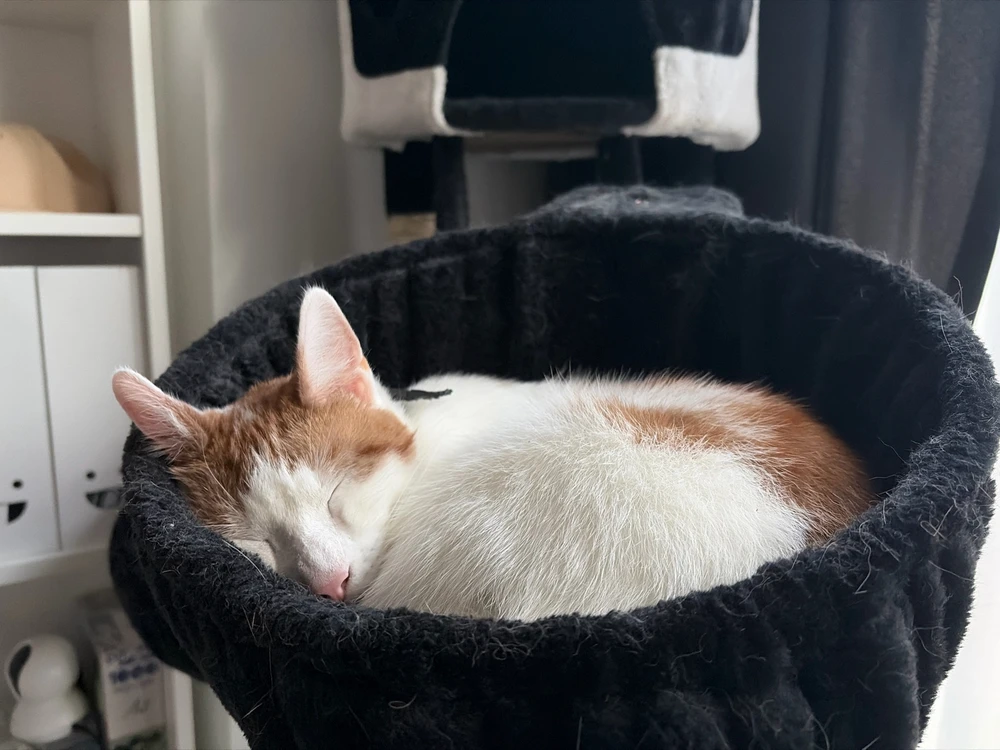 GIF uploaded by Mike