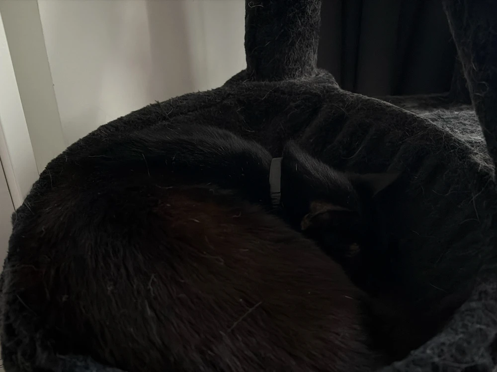 GIF uploaded by Mike