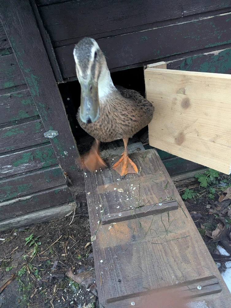 Bild hochgeladen von René