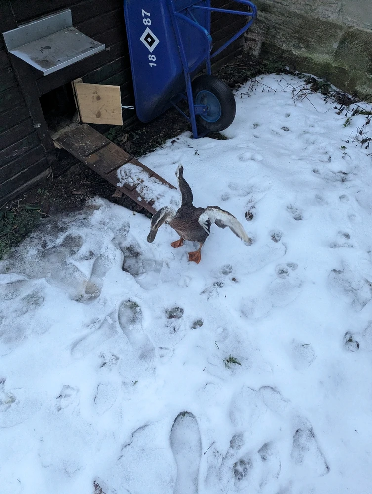 Bild hochgeladen von René