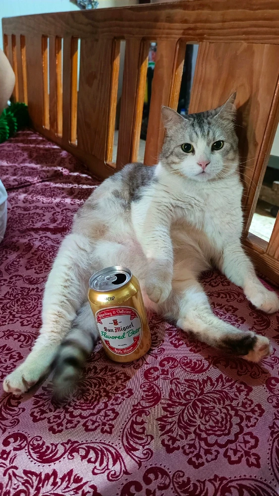 GIF uploaded by Bryan