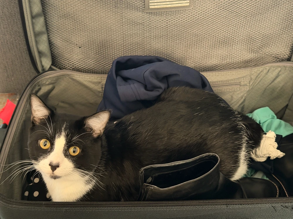 GIF uploaded by Lauren